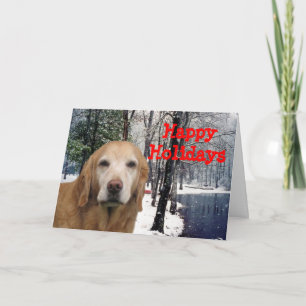Tarjeta Festiva Navidades de Golden Retriever Card Snow Pond