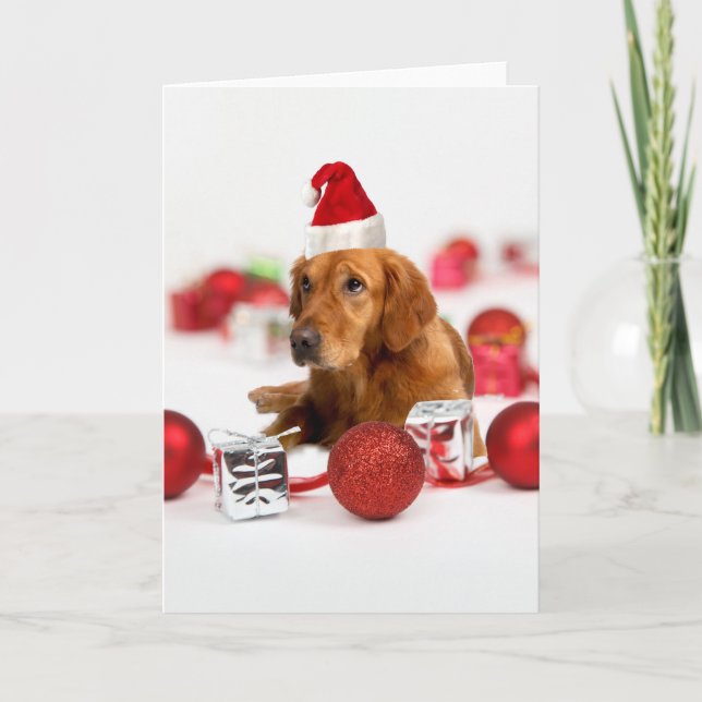 Tarjeta Festiva Navidades de Golden Retriever Dog W Red Santa Hat (Anverso)