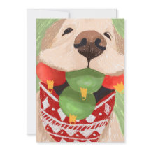 Navidades de Golden Retriever golpean a Mouth Funn