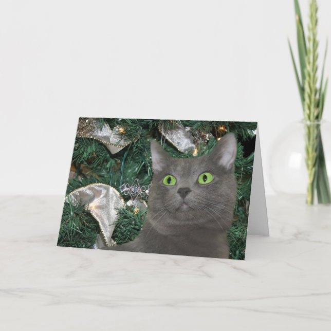 Tarjeta Festiva Navidades de gray kitty (Anverso)