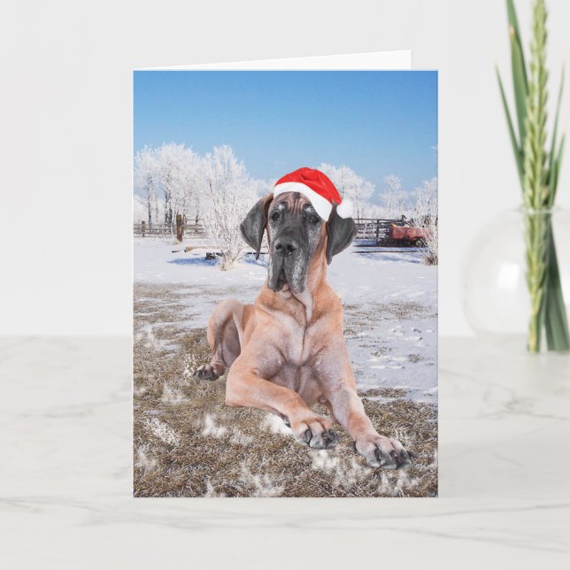 Tarjeta Festiva Navidades de Great Dane (Anverso)