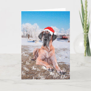 Tarjeta Festiva Navidades de Great Dane