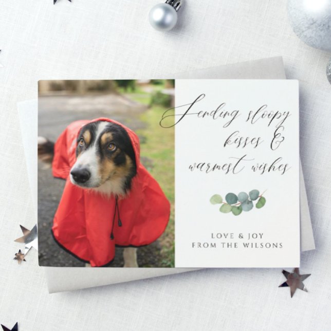 Tarjeta Festiva Navidades de guión de besados con foto de perro (Subido por el creador)