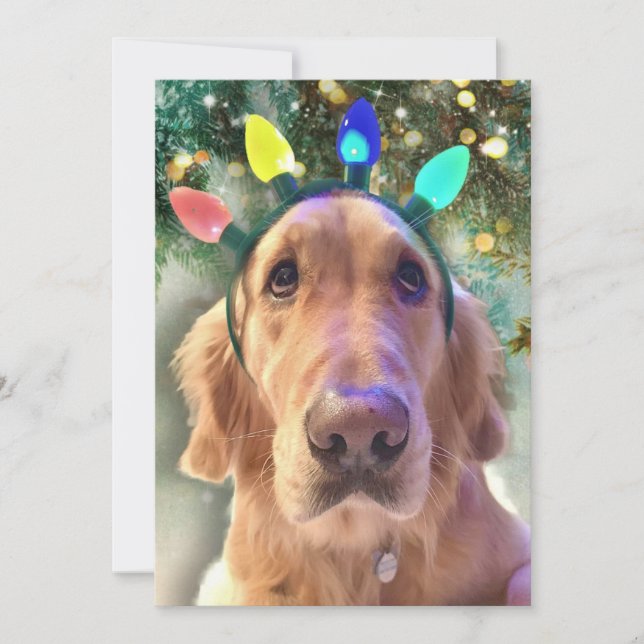 Tarjeta Festiva Navidades de Humbug Bah de Nova - Golden Retriever (Anverso)