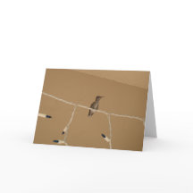 Navidades de Hummingbird