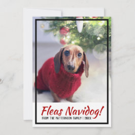 Tarjeta Festiva Navidades de impresión de fotos de perros de Dachs