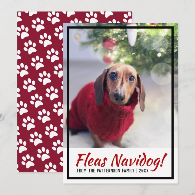 Tarjeta Festiva Navidades de impresión de fotos de perros de Dachs (Anverso / Reverso)
