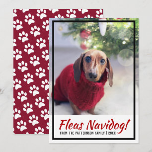 Tarjeta Festiva Navidades de impresión de fotos de perros de Dachs