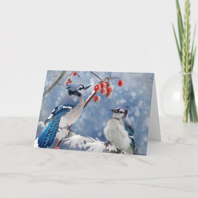 Tarjeta Festiva Navidades de Jay Azules (Anverso)
