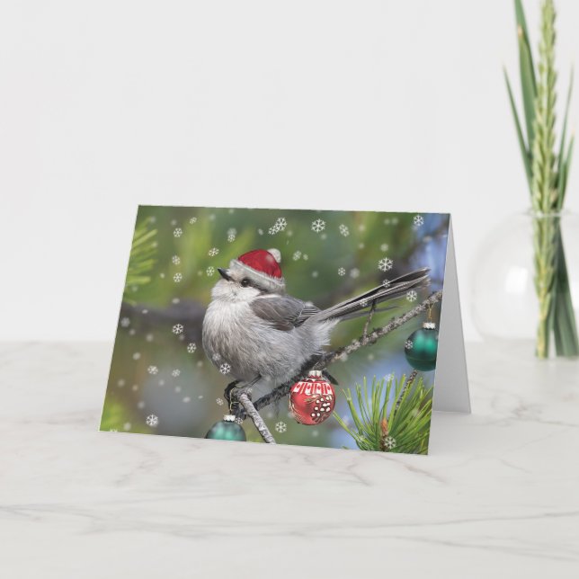Tarjeta Festiva Navidades de Jay de Canadá (Anverso)