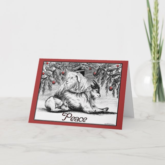 Tarjeta Festiva Navidades de la cabra pigmea piden paz (Anverso)