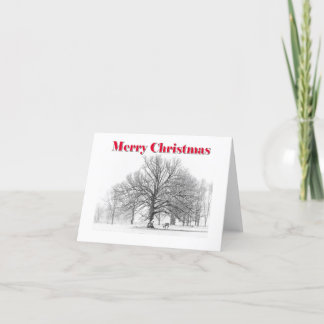 Tarjeta Festiva Navidades de la escena invernal con arco blanco (p
