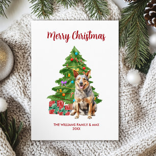 Tarjeta Festiva Navidades de la familia Blue Heeler Dog