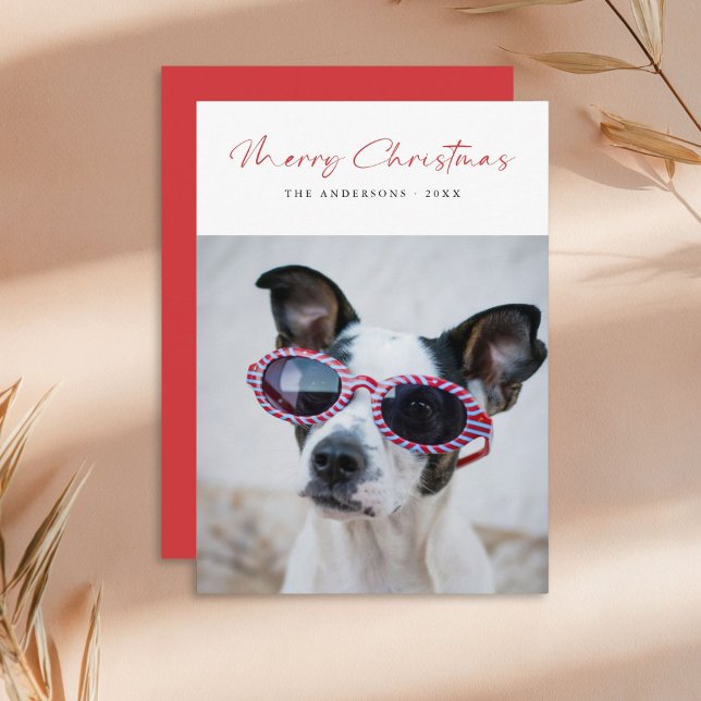 Tarjeta Festiva Navidades de la familia de fotos de perros diverti (Subido por el creador)