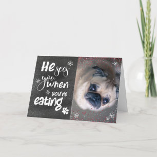 Tarjeta Festiva Navidades de la familia de Mascotas graciosos y pe