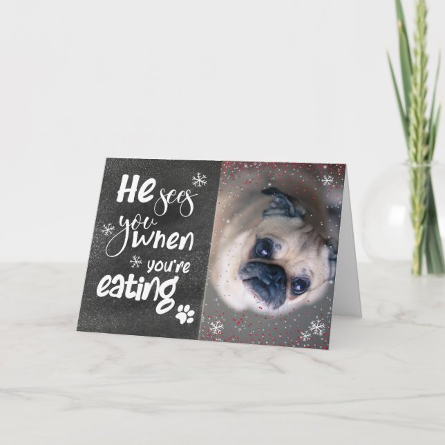 Tarjeta Festiva Navidades de la familia de Mascotas graciosos y pe (Anverso)