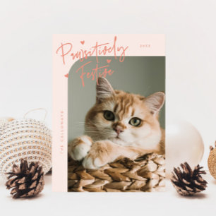 Tarjeta Festiva Navidades de la foto de un gato festivo
