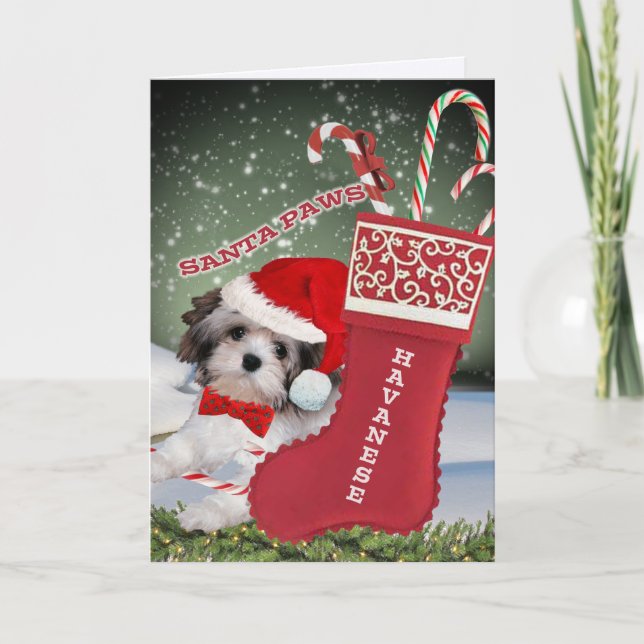 Tarjeta Festiva Navidades de La Habana Santa Paws (Anverso)