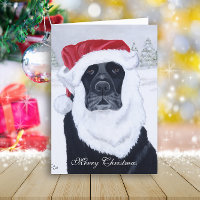 Navidades de la Nieve de Labrador Negro