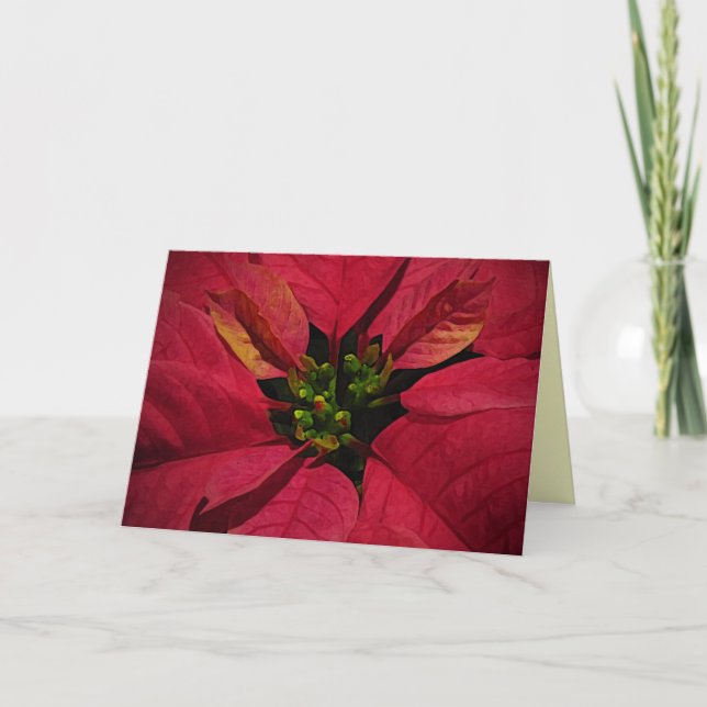 Tarjeta Festiva Navidades de la Poinsettia Roja (Anverso)