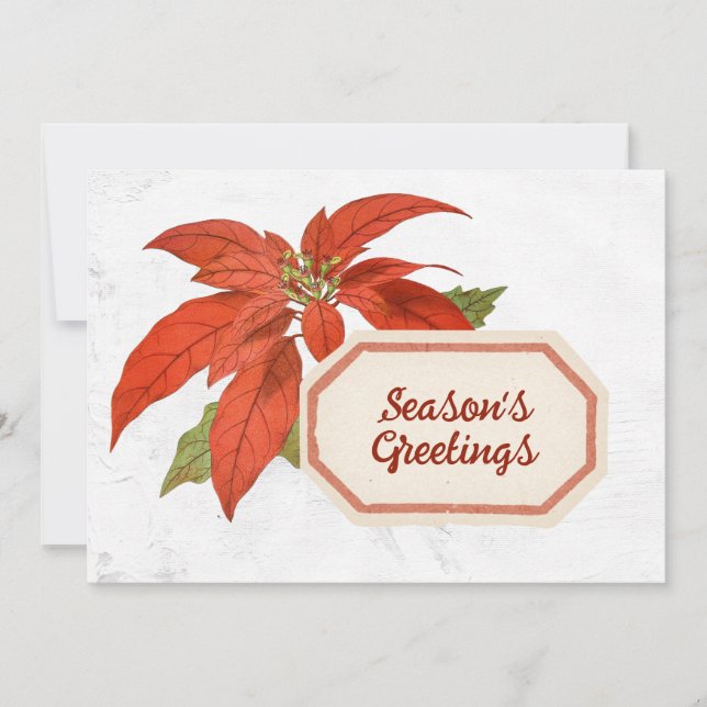 Tarjeta Festiva Navidades de la temporada de flores de Poinsettia  (Anverso)
