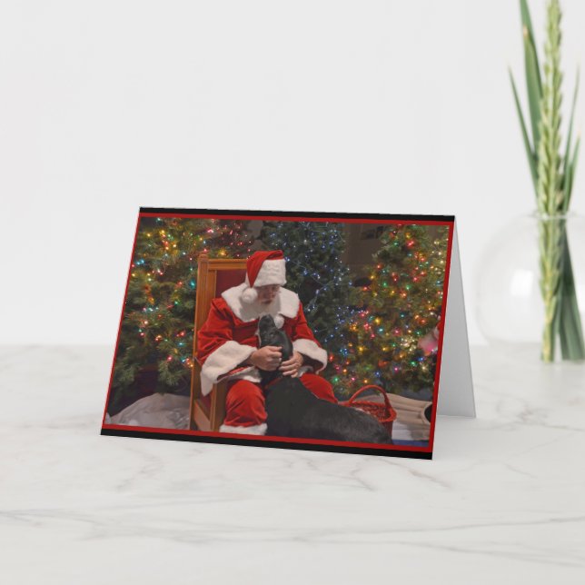 Tarjeta Festiva Navidades de Labrador (Anverso)