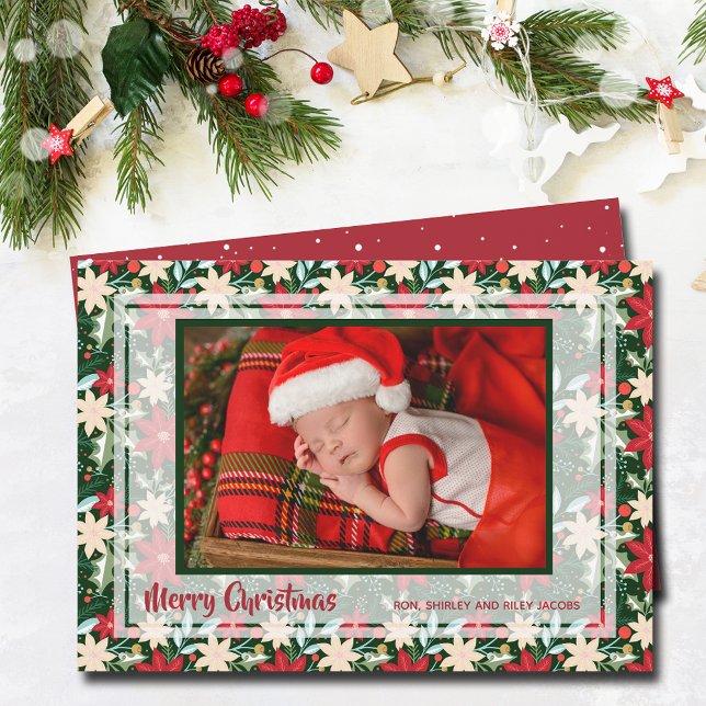 Tarjeta Festiva Navidades de las flores de Poinsettia (Poinsettia floral Christmas  holiday photo cards)