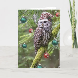 Tarjeta Festiva Navidades de Lechuza Barroja