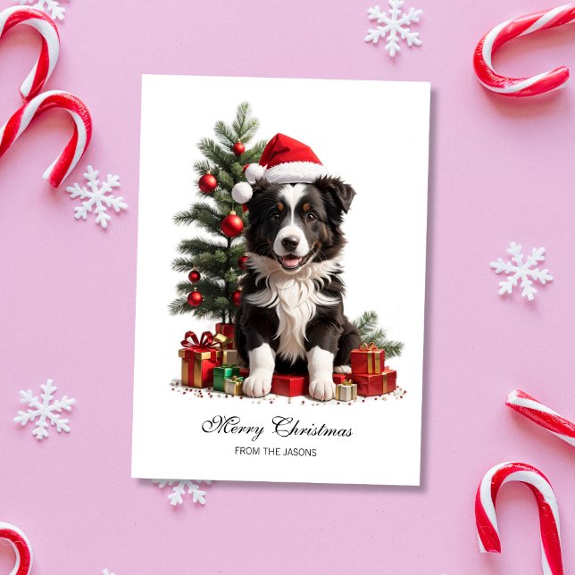 Tarjeta Festiva Navidades de línea de frontera sonriente se apropi (Smiling Border Collie Christmas Puppy Holiday Card)