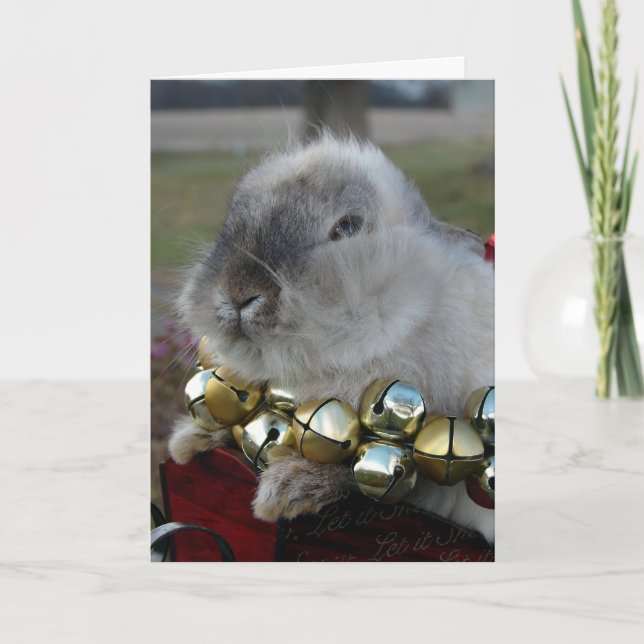 Tarjeta Festiva Navidades de Lionhead Rabbit (Anverso)