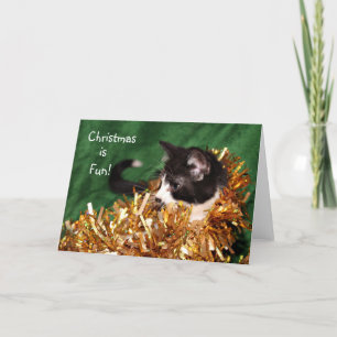 Tarjeta Festiva Navidades de los gatitos de Tuxedo