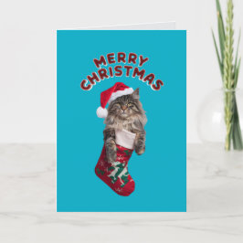 Tarjeta Festiva Navidades de Maine Coon