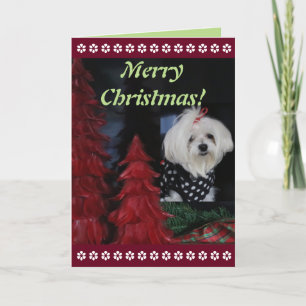 Tarjeta Festiva Navidades de Malta
