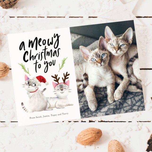 Tarjeta Festiva Navidades de Meowy adoran foto de gato (Subido por el creador)