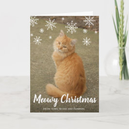 Tarjeta Festiva Navidades de Meowy, un gato de foto de los copos d