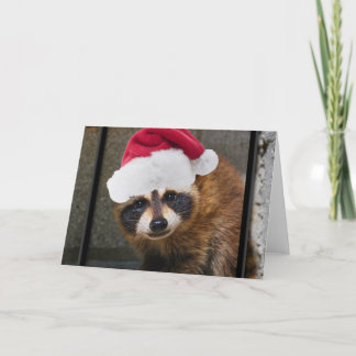 Tarjeta Festiva Navidades de Merry Raccoon