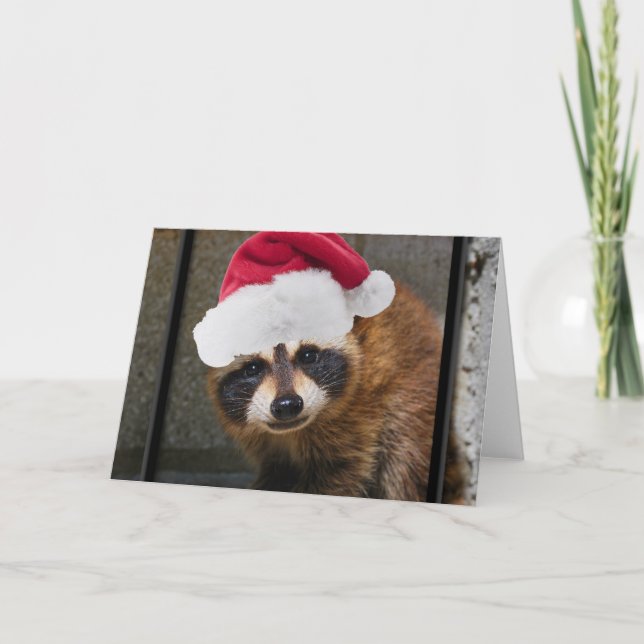 Tarjeta Festiva Navidades de Merry Raccoon (Anverso)
