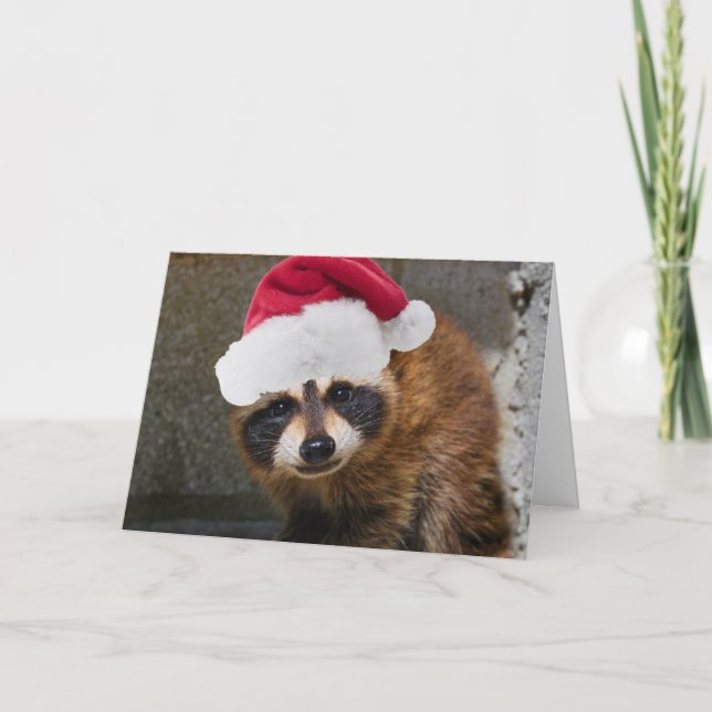 Tarjeta Festiva Navidades de Merry Raccoon (Anverso)