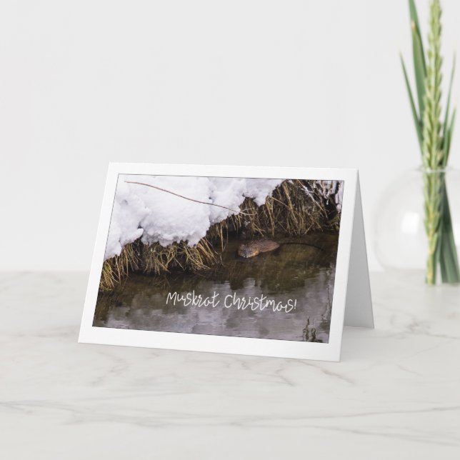 Tarjeta Festiva Navidades de Muskrat Quirky (Anverso)