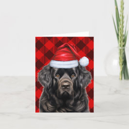 Tarjeta Festiva Navidades de Newfoundland Perro Holiday Buffalo Pl