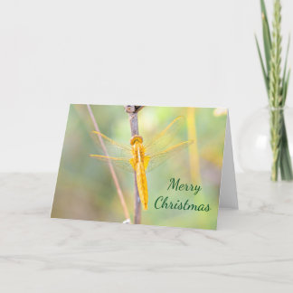 Tarjeta Festiva Navidades de oro y libélula de color amarillo