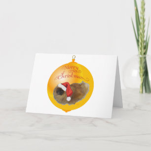 Tarjeta Festiva Navidades de Pekín