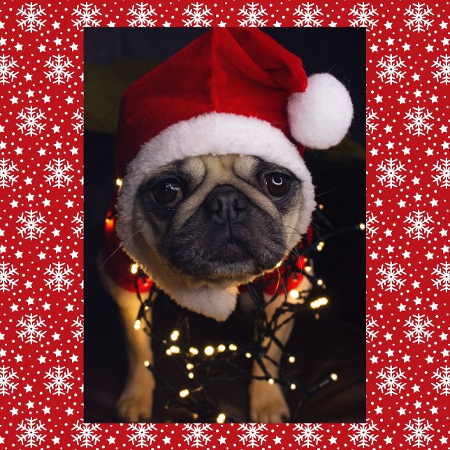 Tarjeta Festiva Navidades de perro de pug personifican la firma (Subido por el creador)