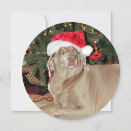 Tarjeta Festiva Navidades de perro de Weimaraner redondos personal
