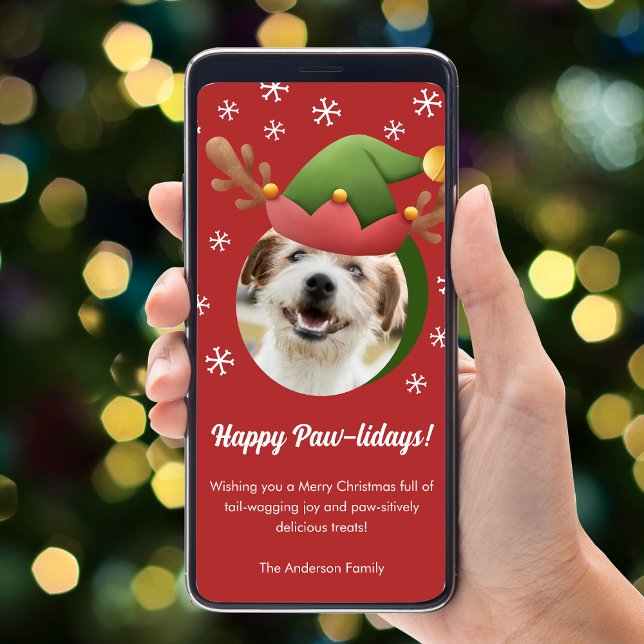 Tarjeta Festiva Navidades de perro Foto con Gorra de renos Elf Dig (Subido por el creador)