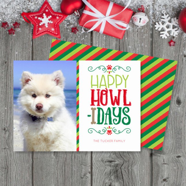Tarjeta Festiva Navidades de perro fotografíen Felices fiestas (Subido por el creador)
