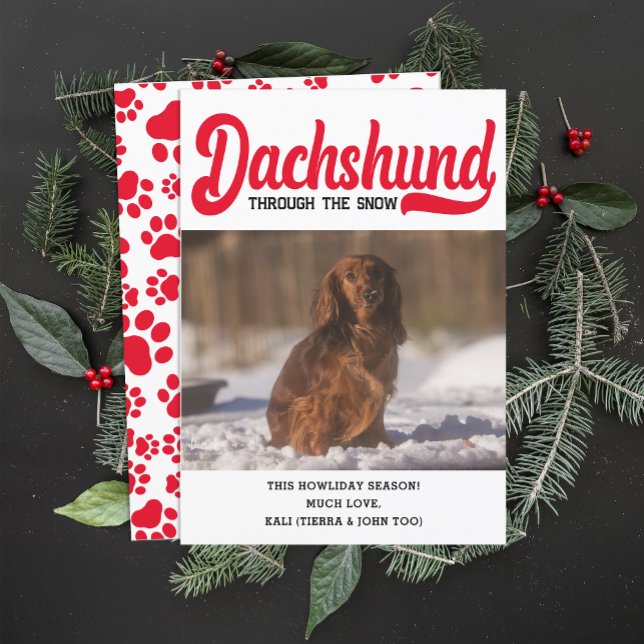 Tarjeta Festiva Navidades de perros de Dachshund Cute Foto Persona (Subido por el creador)