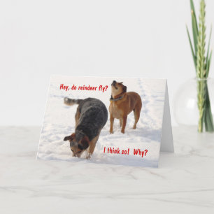 Tarjeta Festiva Navidades de perros de ganado mugrientos Nieve