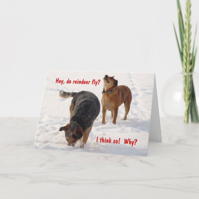Tarjeta Festiva Navidades de perros de ganado mugrientos Nieve (Anverso)