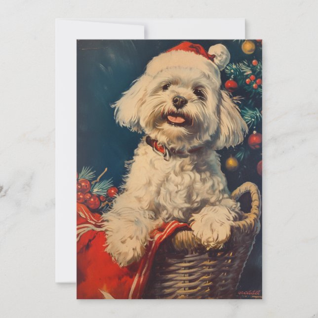 Tarjeta Festiva Navidades de perros de Malta (Anverso)